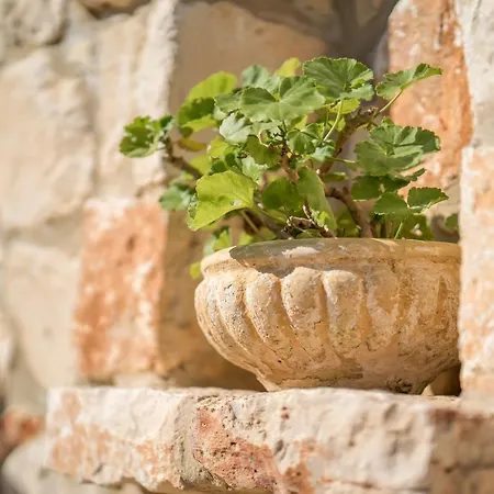 Myrties Stone - Arekia Apartment