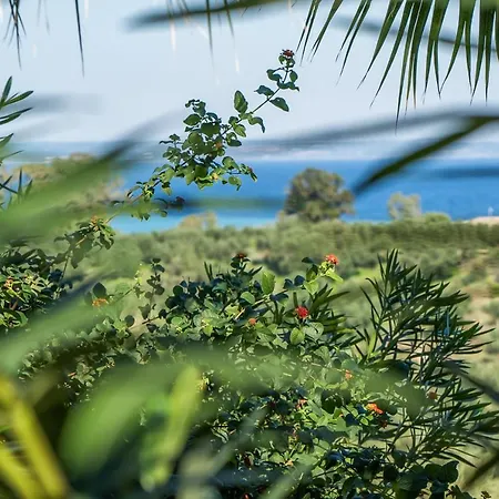 Myrties Stone - Arekia * Vasilikí